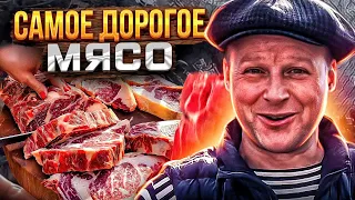 Самое дорогое мясо в Одессе!! Стейк из мраморной говядины!!