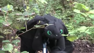 Dragon Hunting Behind the Scenes and Bloopers