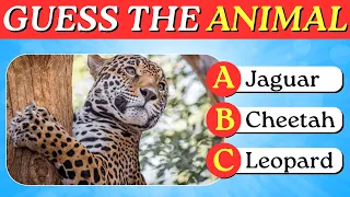 Guess the aminal | Quiz game | Animal quiz