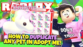 DUPLICATION PET HACK IN ADOPT ME FEBRUARY 2021 How To Duplicate Pets Glitch Working 100%