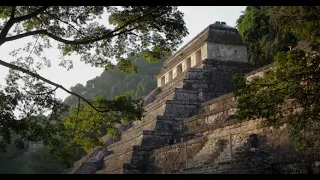 Palenque y su avance de acciones en el proyecto Tren Maya