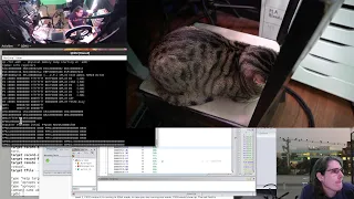 weird 486 zone, chill electronics and cat // 2021-10-12