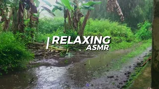 Rain Sounds For Sleeping - 99% Instantly Fall Asleep With Rain And Thunder Sound At Night Relaxing