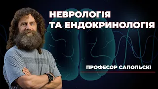 13. Поглиблена неврологія та ендокринологія. Роберт Сапольскі