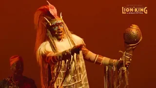 The Lion King: Rhythms of the Pride Lands - Sneakpreview - show at @DisneylandParis