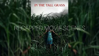 in the tall grass | recapped movie scenes #reviews #explained #recap