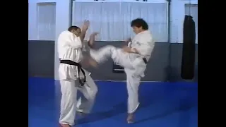 Kyokushin karate by Andy Hug & Michael Wedel