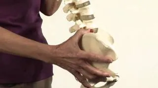 Proper Posture for a Healthy Spine