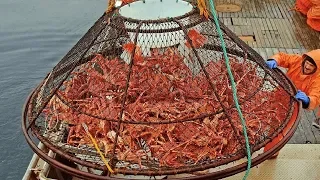 Awesome Big Alaska King Crab Fishing on The Sea - Fastest Catching & Processing King Crab