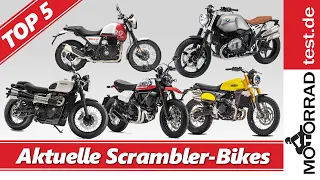 Aktuelle Scrambler-Bikes 2023 | Vergleich wunderbarer Scrambler-Motorräder aus allen Preisklassen.