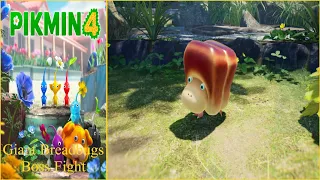 Pikmin 4 - Giant Breadbugs Boss Fight