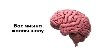 Бас миына жалпы шолу