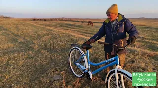 Баланс и Лакмус в табуне.|Коневодство.