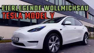 Tesla Model Y (2021) - Die eierlegende Wollmilchsau (schnell, schick, praktisch) mit Panoramadach