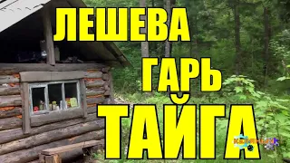 ВЫЖИВАНИЕ В ДИКОЙ ПРИРОДЕ | ТАЙГА