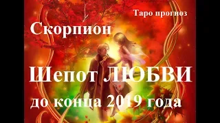 СКОРПИОН, ЛЮБОВЬ.  Таро прогноз октябрь, ноябрь, декабрь  2019 года.