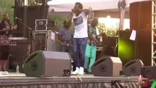 Romain Virgo perform at Grace Jamaican Jerk festival in NYC