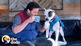 Guy Shows his Rescue Pittie the Wonders of Fall for the Very First Time  | The Dodo Pittie Nation