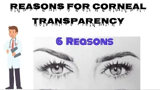 Reasons for Corneal Transparency