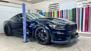 SATiSFYING MUSTANG ASMR Wrap | The Hardest Parts In Real Time