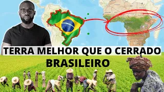 Can AFRICA be a competitor of BRAZIL in the production of soybeans?