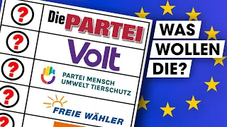 EU-Wahl 2024: Wahlprogramme der KLEINPARTEIEN erklärt!