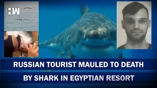 Fatal Shark Attack Claims Russian Man's Life in Egypt's Red Sea | Hurghada | Tourist | Viral Video
