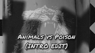 Animals vs Poison - Martin Garrix Intro (Jankow Remake)