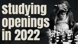 How to Study Openings in 2022