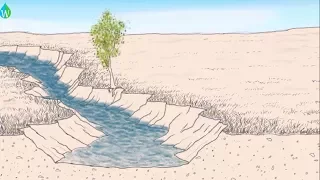 Ancient practices to increase water storage in desert aquifers 💧💦 | Waterpedia #WaterWednesday