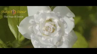 Shakti Dance® ~ The Yoga of Dance ~ Official Promo Video - Aug 2018