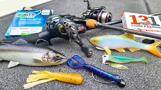 Gear Review! Shimano Curado BFS, Megabass P5, Creature Baits, Swimbaits, And Finesse!