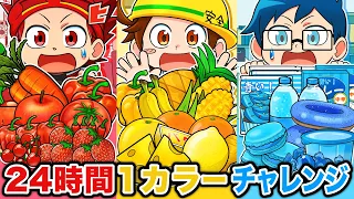 赤VS青VS黄色！24時間1カラーチャレンジ！一番つらいのはどれ！？【アニメ】