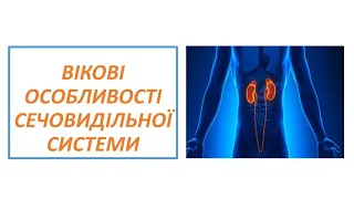 Вікові особливості сечовидільної системи