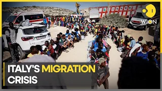 Italy: Lampedusa grapples with surge in migrant arrivals | Latest World News | WION