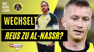 🖤💛 BVB Newsflash | REUS ZU AL-NASSR? 😱 | Schulz-Transfer GEPLATZT 💥 | TRANSFERNEWS