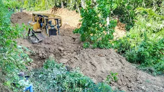 CAT D6R XL Bulldozerozer Opens Forest Road to Access People's Plantation