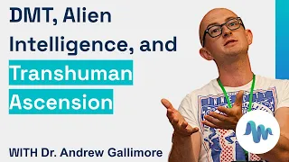 Dr. Andrew Gallimore - DMT, Alien Intelligence, and Transhuman Ascension