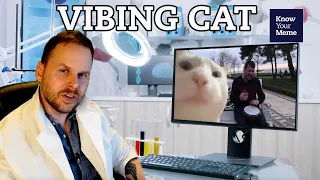 Why The "Vibing Cat" Meme Took Months To Reach Its Full Potential