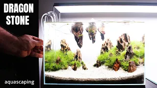 Aquascaping With DRAGON STONE