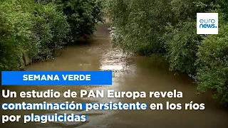 Un estudio de PAN Europa revela contaminación persistente en los ríos por plaguicidas