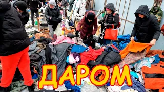 Только Дешево! Поход на барахолку Санкт-Петербурга 12.11.2023г.- ч.1. Блошиный рынок на Удельной