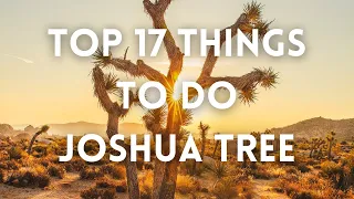 Joshua Tree - Top Things To Do Joshua Tree NP - Best of Joshua Tree National Park - Stargazing