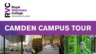 RVC Camden Campus Tour, London