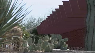 Explore the History of Beautiful Taliesin West in Scottsdale, Arizona