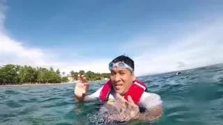 Marine Sanctuary - Dauin Negros Oriental