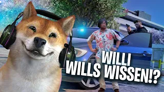 WILLI WILLS WISSEN!? 😂 - CSYON Stream Highlights