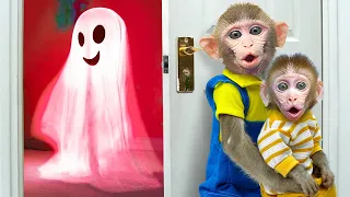 KiKi Monkey and baby face with challenge Knock Knock, Who's At The Door | KUDO ANIMAL KIKI