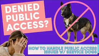 The BEST way to Handle PUBLIC ACCESS ISSUES for SERVICE DOGS (Step-by-Step)