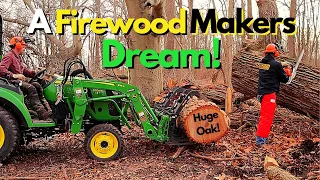 What Firewood Dreams Are Made Of: Huge Oak Tree, Stihl Chainsaws, John Deere Tractors & TTWT!